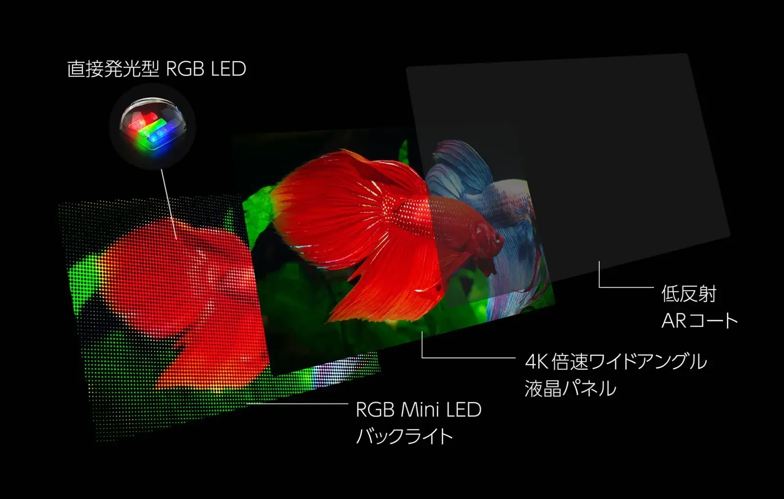 RGB Mini LED液晶パネルの構造。手前から低反射ARコート、4K倍速ワイドアングル液晶パネル、RGB Mini LEDバックライト(直接発光型RGB LED)の各層