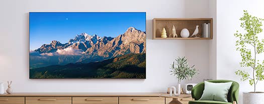 4K 液晶レグザ 85M550R イメージ