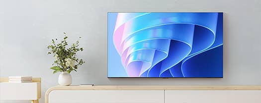 4K 液晶レグザ 85E670R イメージ