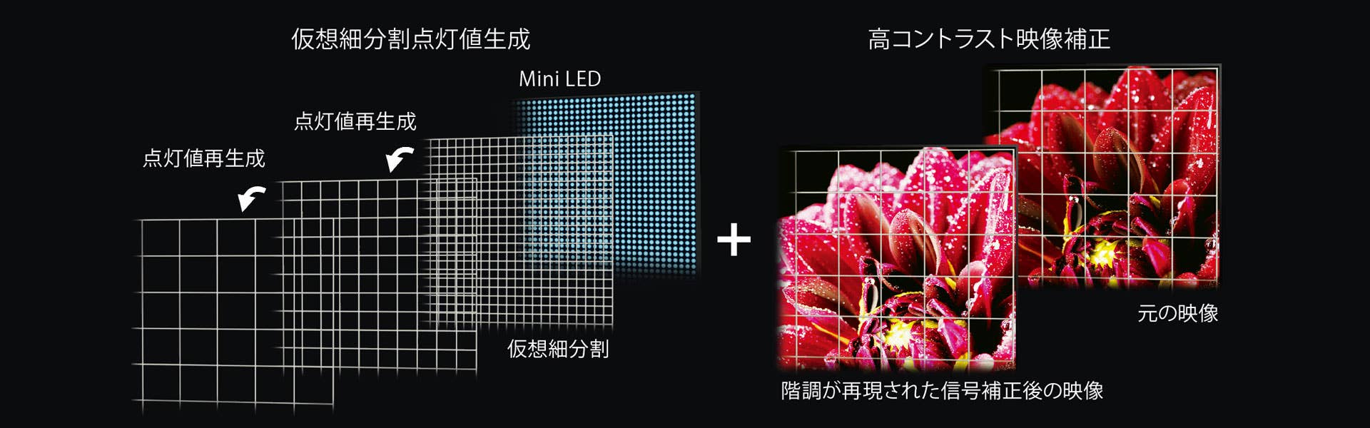 Mini LEDエリアコントロール_レグザ
