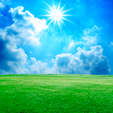 1_line_sungreen