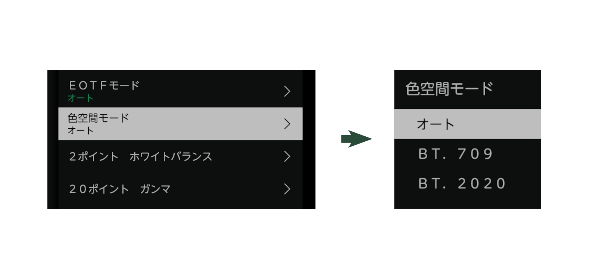 プロユース映像分析・設定_2色空間マニュアル設定_レグザ